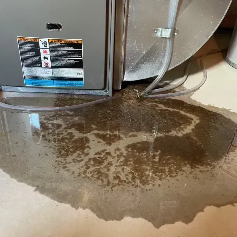 Appliance Leak Cleanup in Hoisington, KS